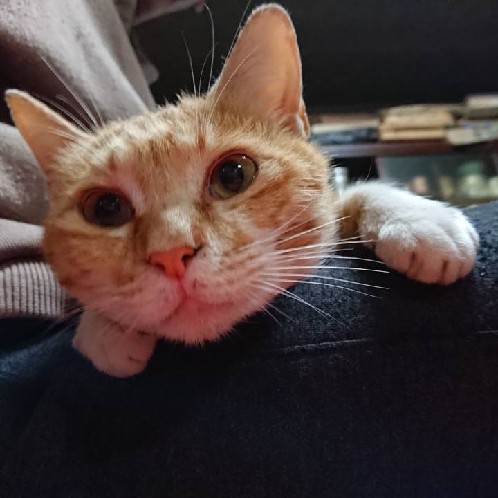 A1514fb8 ff35 44c0 a9a0 bafed010bfb0 1560168494003