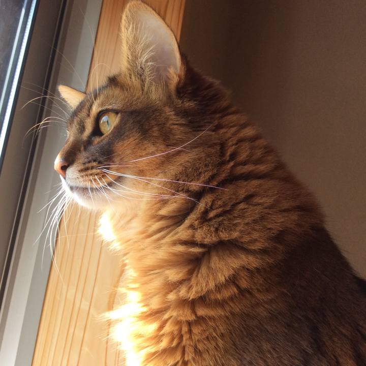 A1518254 2090 4dcf a1cc fd9e76ef4234 1615257491820