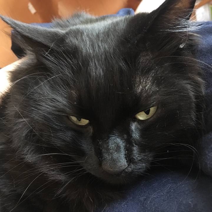 A151a4b9 a2ad 42f4 8704 78279776cc5b 1522936197260