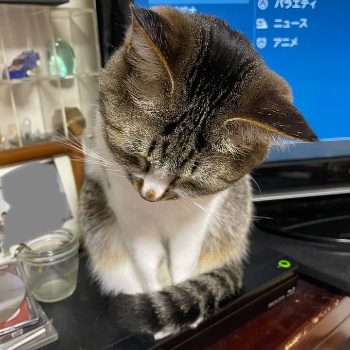 A151cc0e 5a46 41b6 87e5 80c3280a98c2 1651155642284