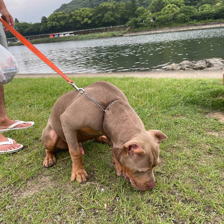 A151e9ca 27e9 4203 95e9 a06a20698b4d 1655992156718