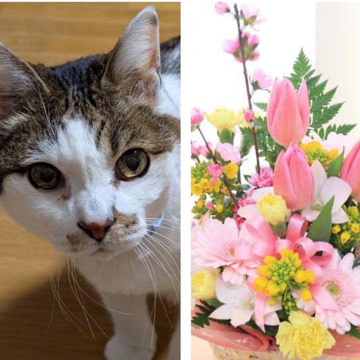 A151f0ac e0b1 49fd 94d7 4da06f6964ba 1772491000205