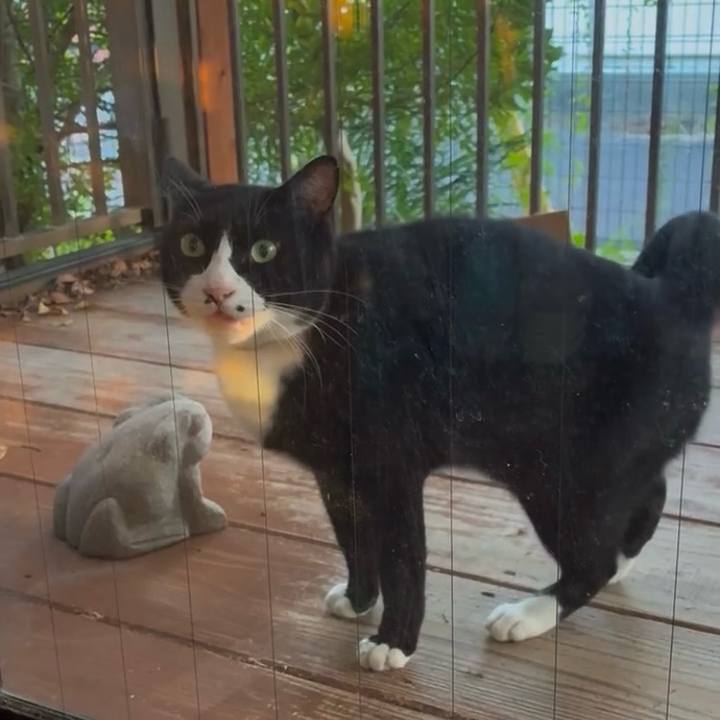 A15206b3 633e 4db8 8208 dd76bbe2142b 1759658031871