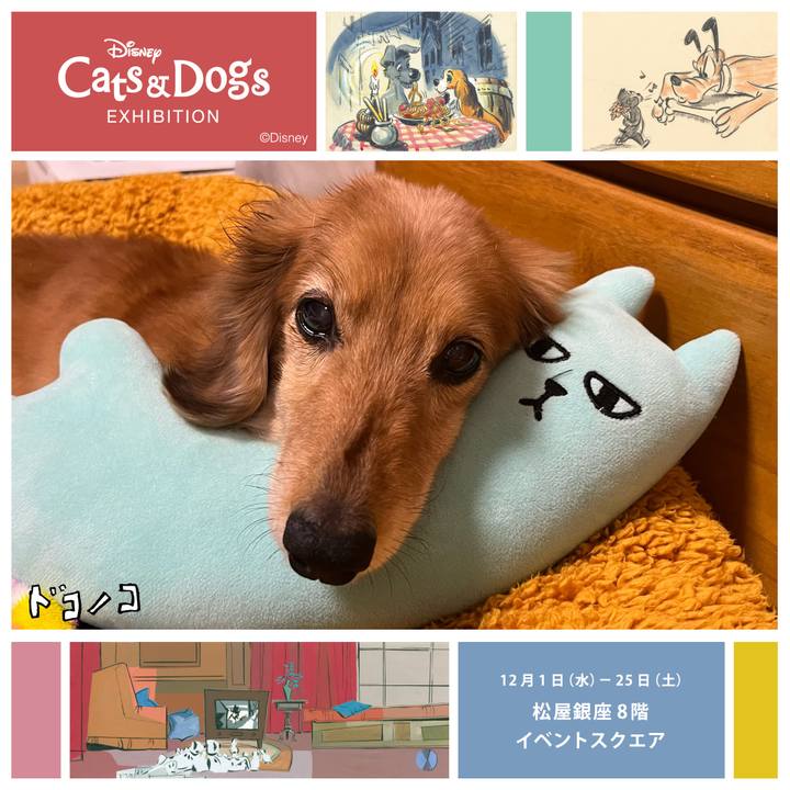 A1520d59 002f 43ae ac9e 8db591f1d7ad 1638447968310