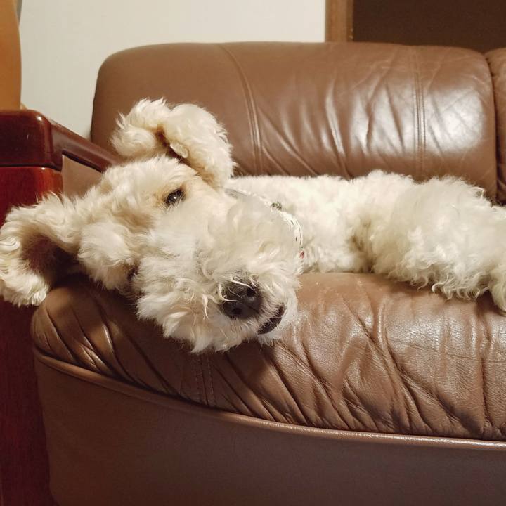 A1523229 5def 413e bf24 ba3fb90b7f1a 1559791450972