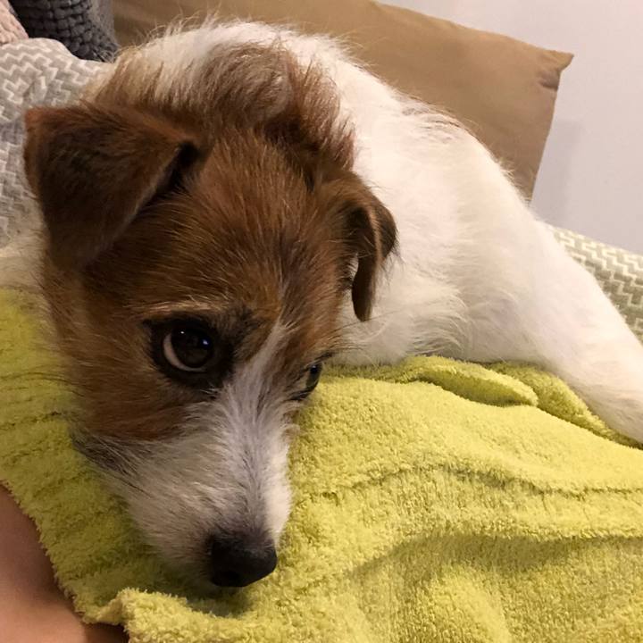 A15232f5 54c6 4da5 a794 e129d6e01851 1628462456294