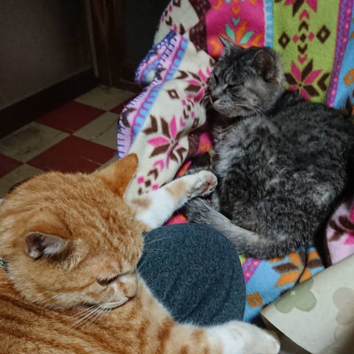 A1527597 9261 420e 89f2 230a8fa19197 1584654823380