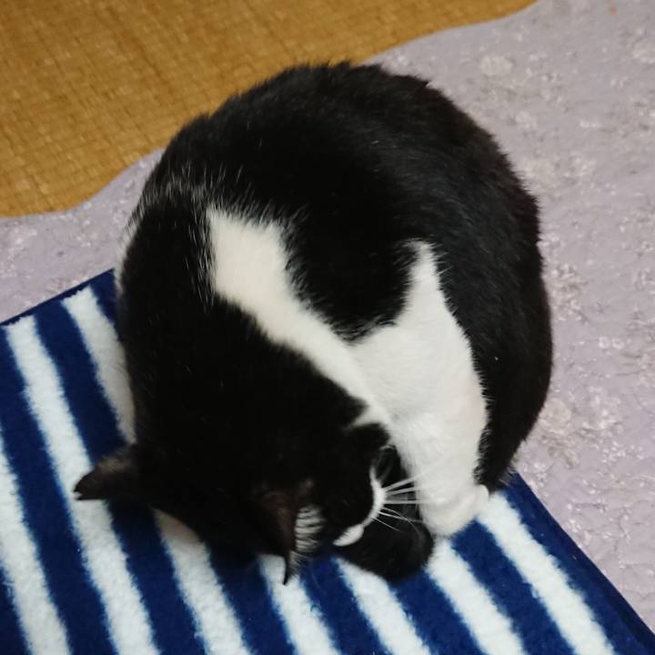 A152a6cc 9324 4425 a5ff 39ddd966c59a 1545104402545