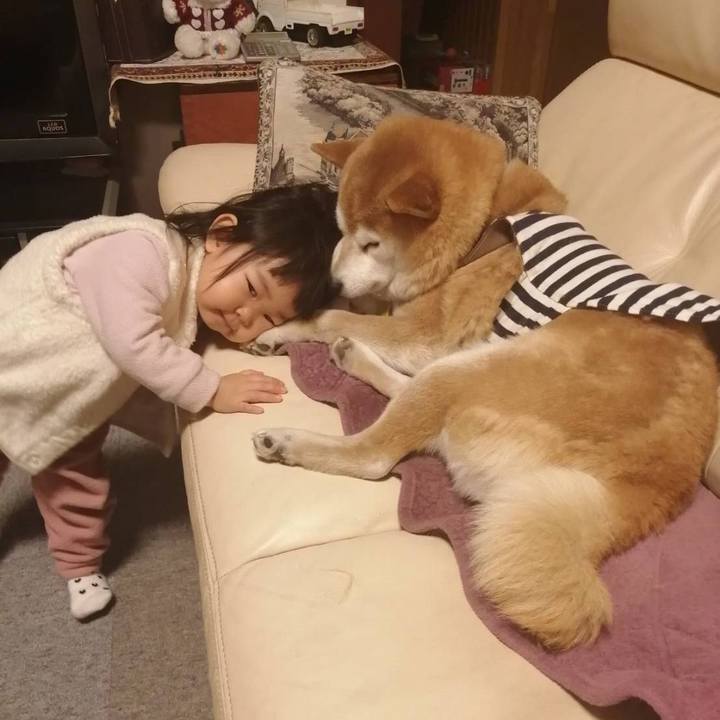 A152b05e baa7 44a3 8f61 9bf9f8c99323 1642411838225