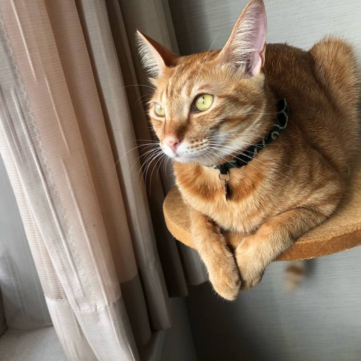 A152b111 9339 46d2 99ba 821ac07d5877 1630983003917