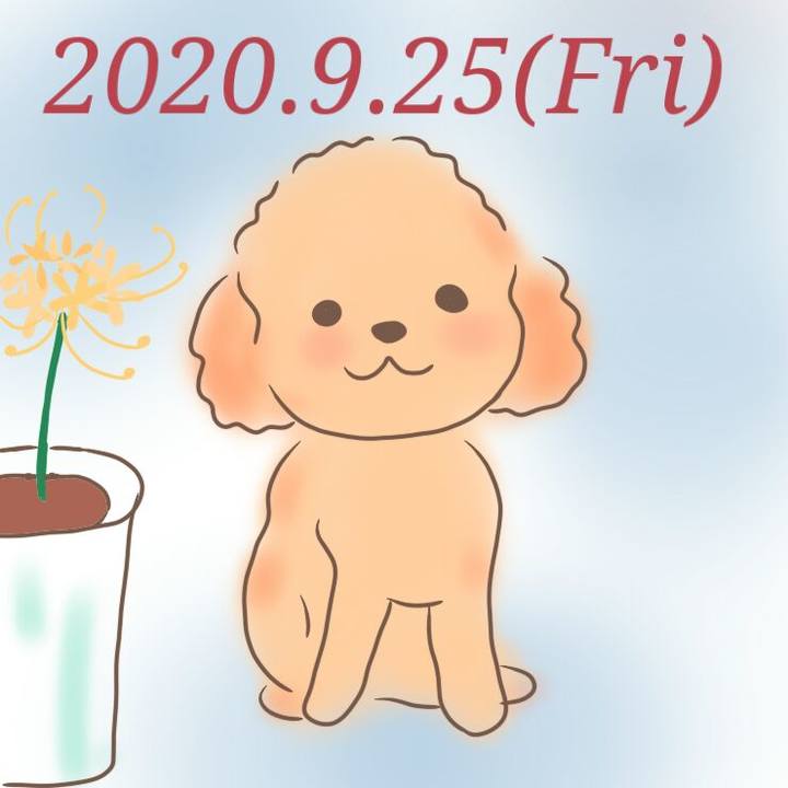 A152f856 6bcb 4937 9b8f ef6aaa4ad092 1601042762540