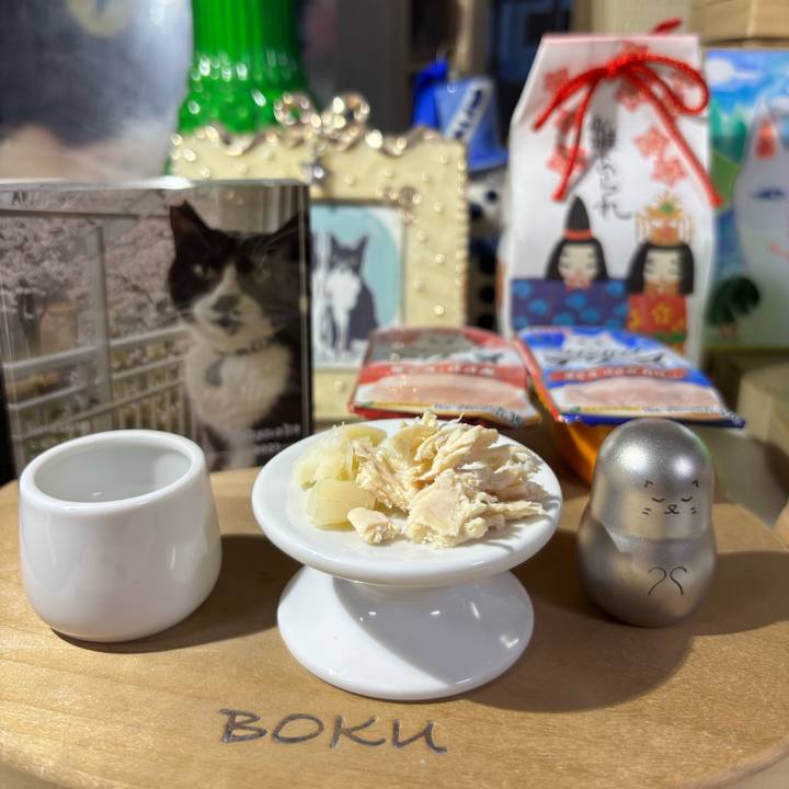 A153145b 23c5 4359 98b6 369cfb54f192 1771622547095