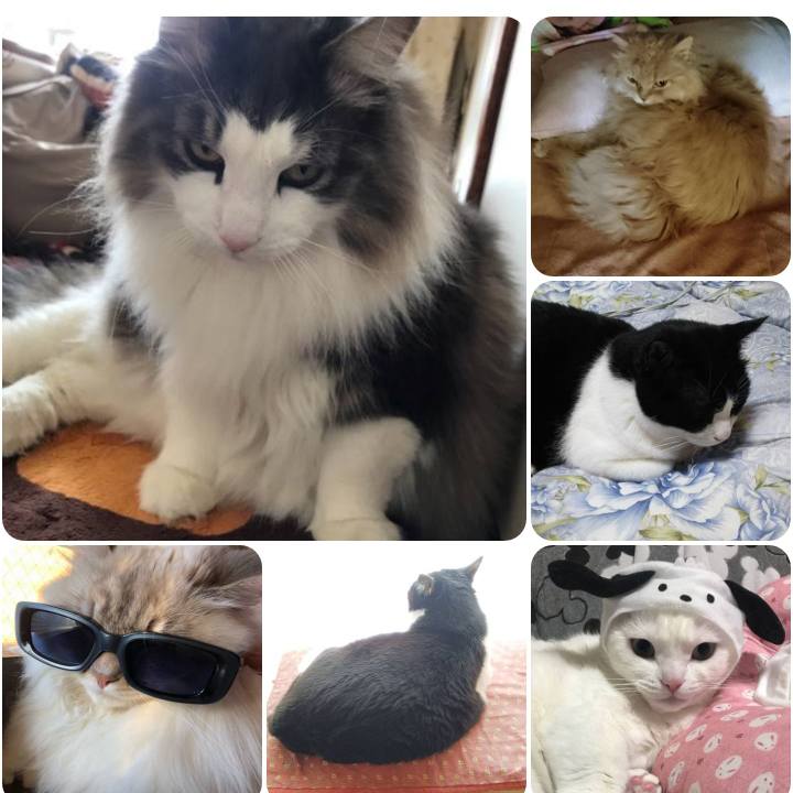 A1531f47 e08f 4f92 a4f2 23ceb5a7715c 1555108099812