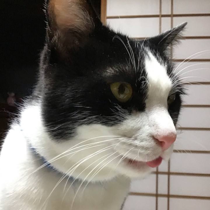 A1532512 aed7 44a0 b82c 978aed47fbdc 1702551854388