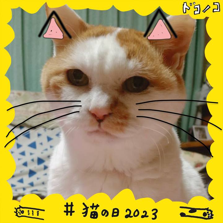 A1535f61 da0f 4e54 b53d b58e6722467f 1677066800792