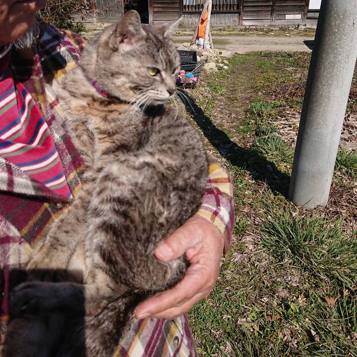 A15364ed 6ef2 4c97 8d71 d020f65682b4 1584236793149