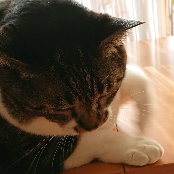 A1536958 9c5a 4eea 8dcc 9b1021ba71e9 1535169239506