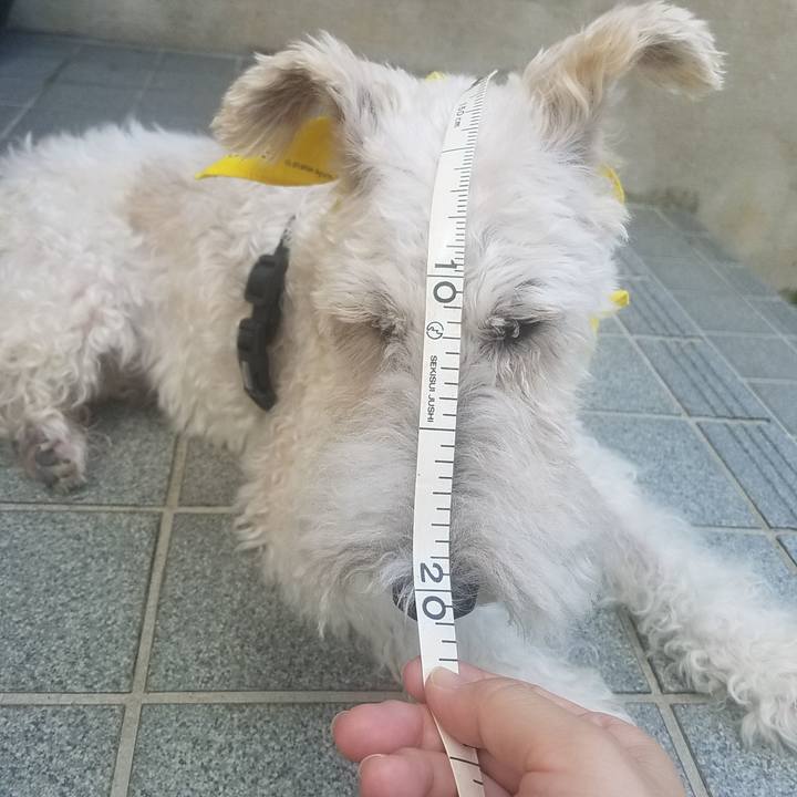 A1538298 a7c0 4fcf afa2 6022aeba8008 1601286873754