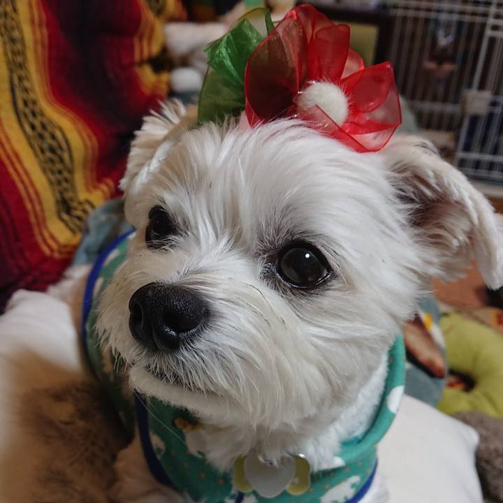 A15398da 3edd 44af b6be 2b7f62c23796 1573702432553