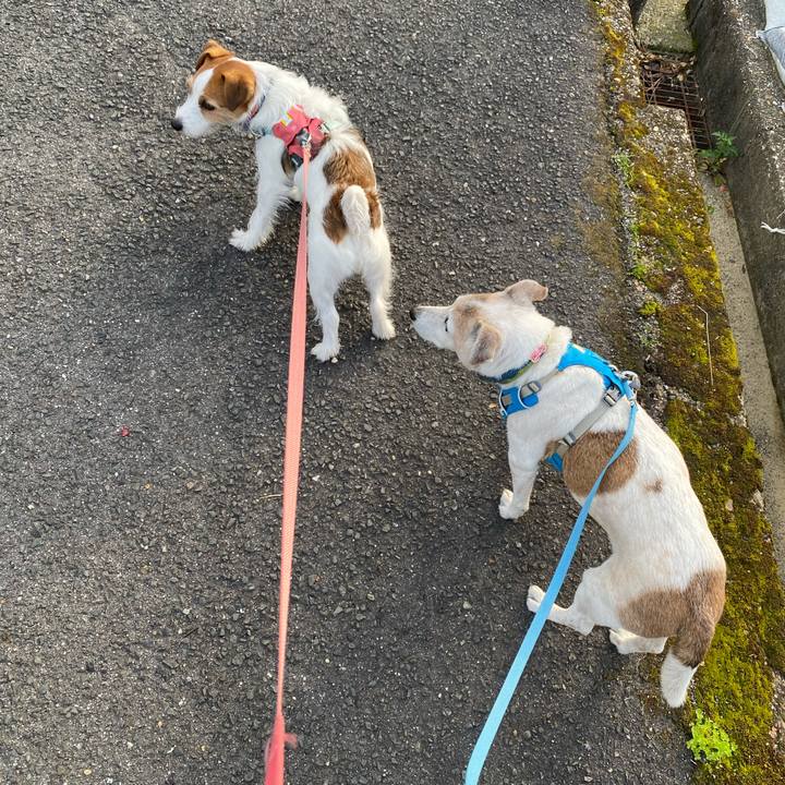 A1539f99 c644 4072 9f42 254507b573d7 1714080220910