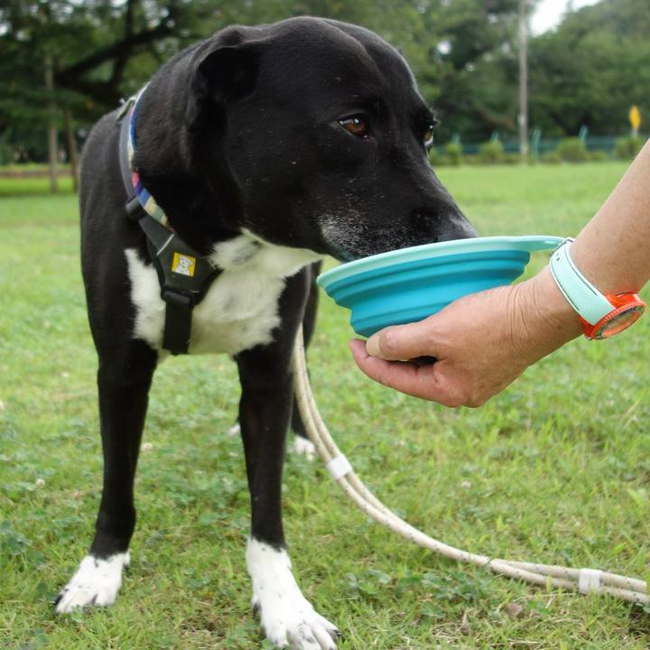 A153b6da 94a6 438d 9f74 203fa0d09e1d 1658186271180