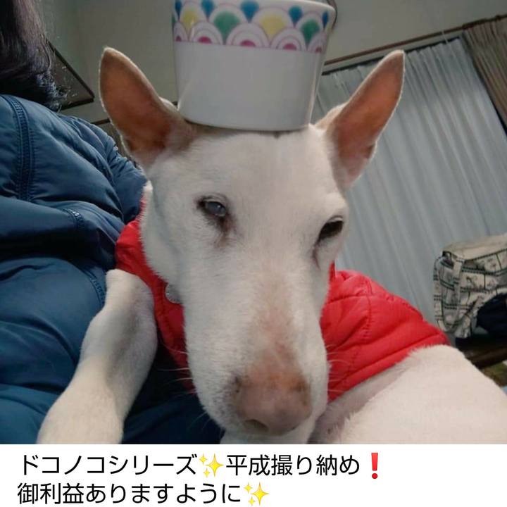 A153ea2d 5876 4c3b b77d 84441948a2ae 1619739848425