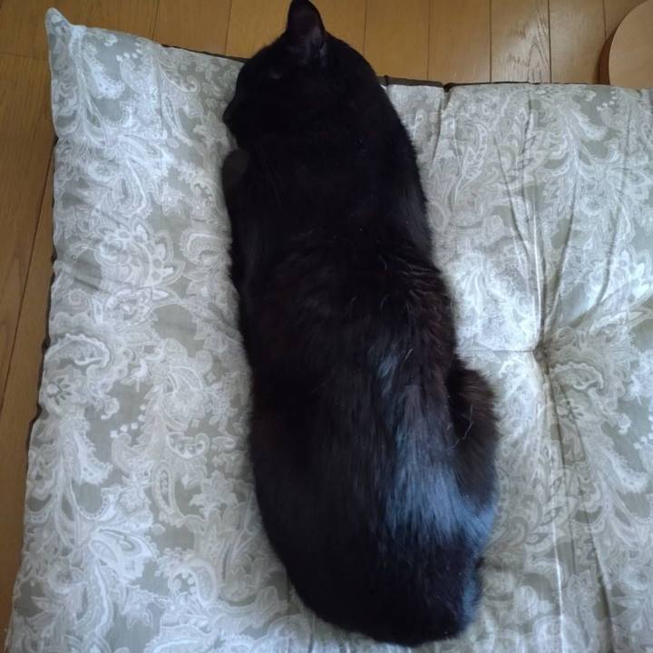 A1541364 770e 4aa9 bd55 6bf69245e3e5 1736998115206