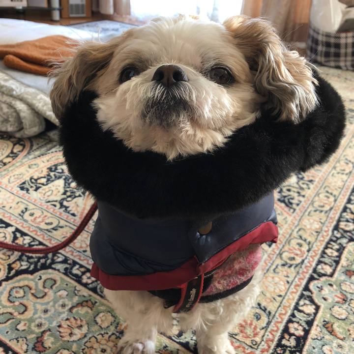 A154846f e37b 4b90 94ab 8dc3f7fe5dc5 1581630500087