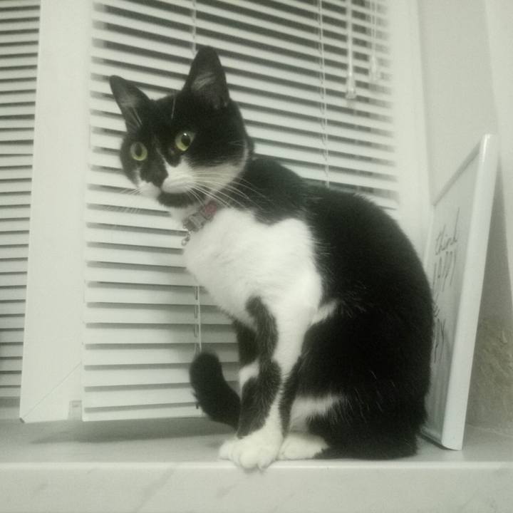 A154890f c003 494e b81e 793edf00ec44 1567531872064