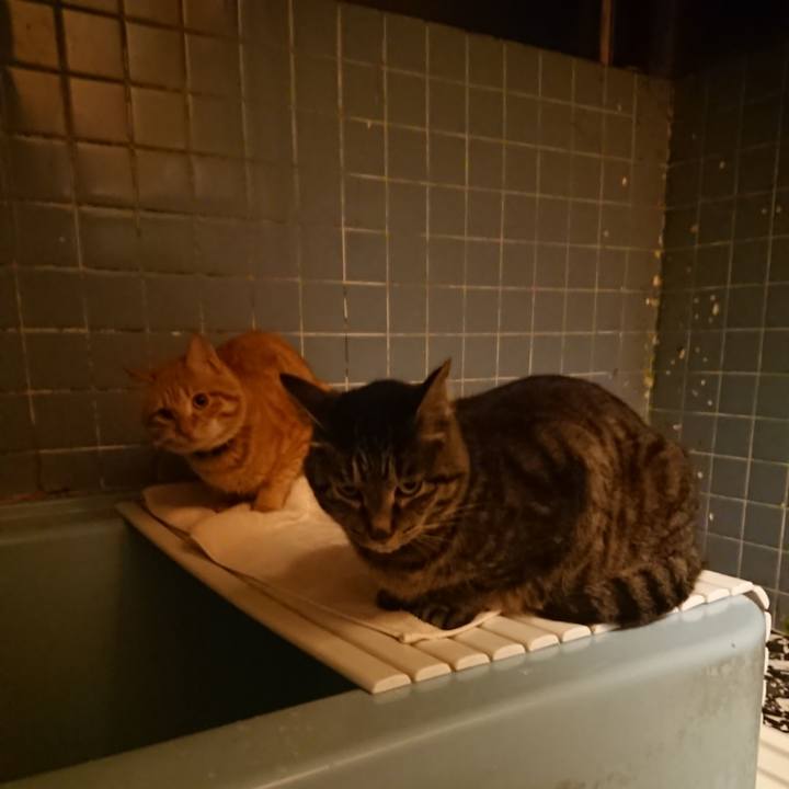 A1548a17 ff36 4f8c b6fd 0237623f1dc8 1654688979983