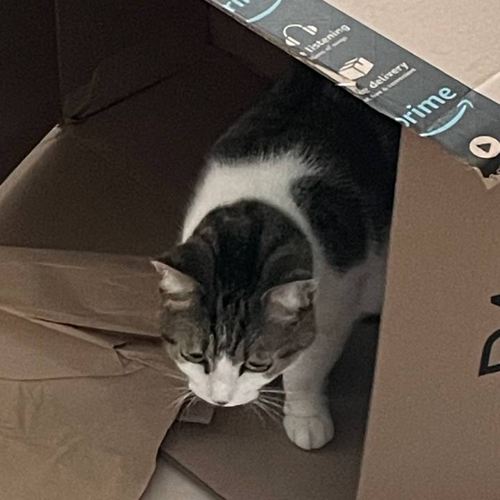 A154cb72 df99 44e3 b473 1aeba6249d8f 1743984034114