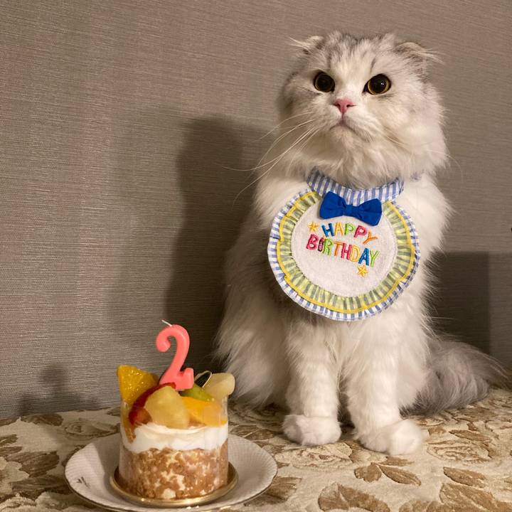 A15528d4 9dc7 40d9 8f19 bf33b423e977 1653830597378