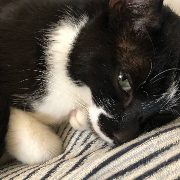 A1553062 d302 4b8d b1de 2a76ab2e1503 1618634507688