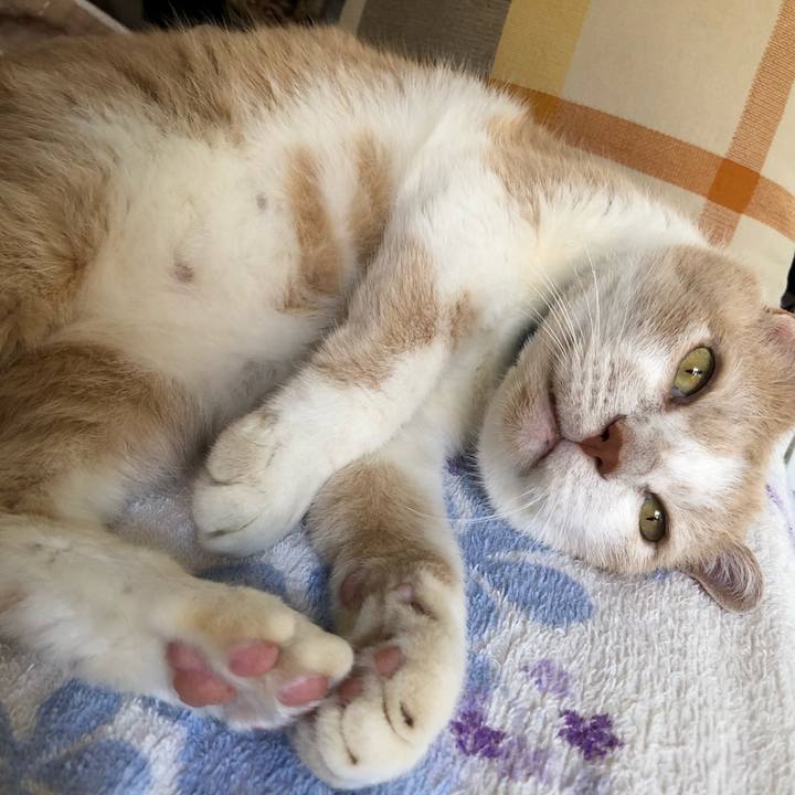 A1553191 d961 4b31 ba9d c15a3d39d8da 1631273353487