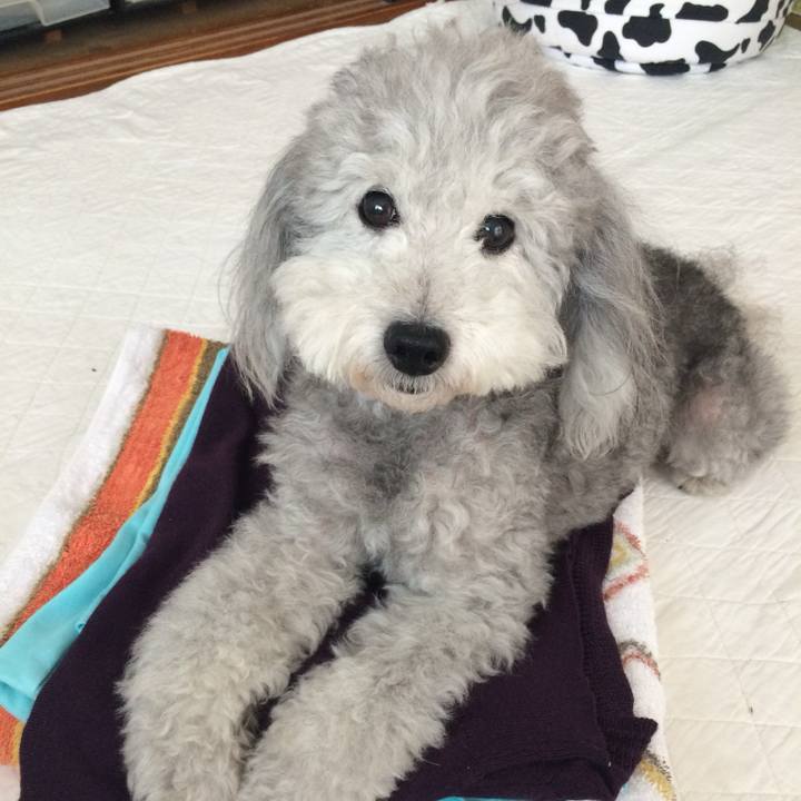 A155acd8 02b8 463f 8dde 1952796be0d5 1759827481070