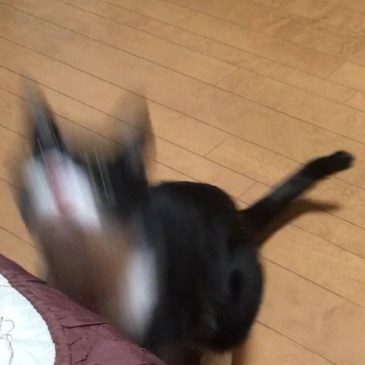 A155ca0d e853 4f88 a9aa cf1e65d6ce41 1582372977494