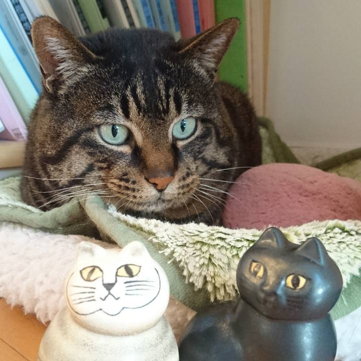 A1560982 cdba 403c 882a 59364be9e871 1522656166416