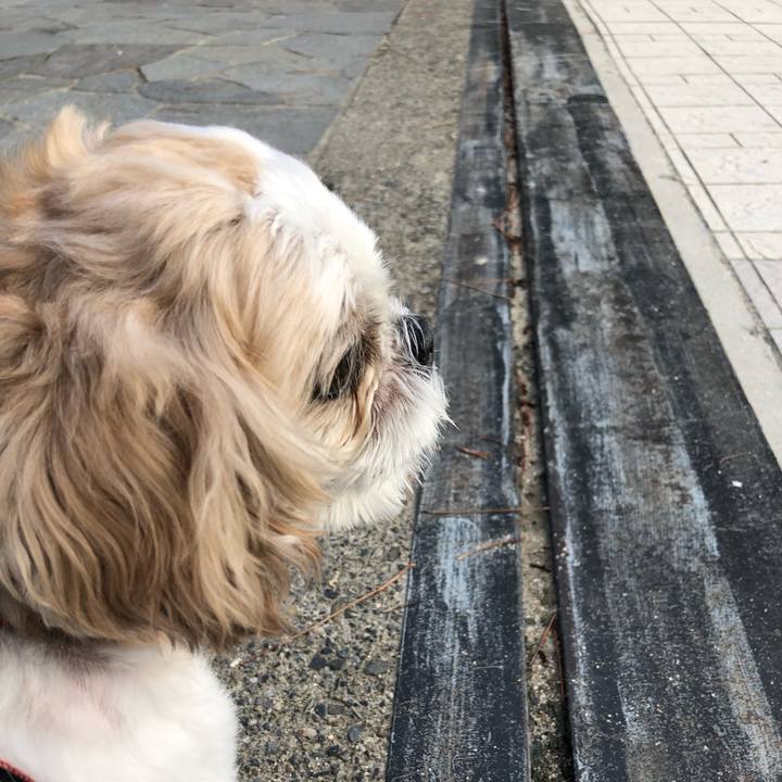 A1560ad1 4edd 4620 b44d 069ee24f73b1 1600207490426