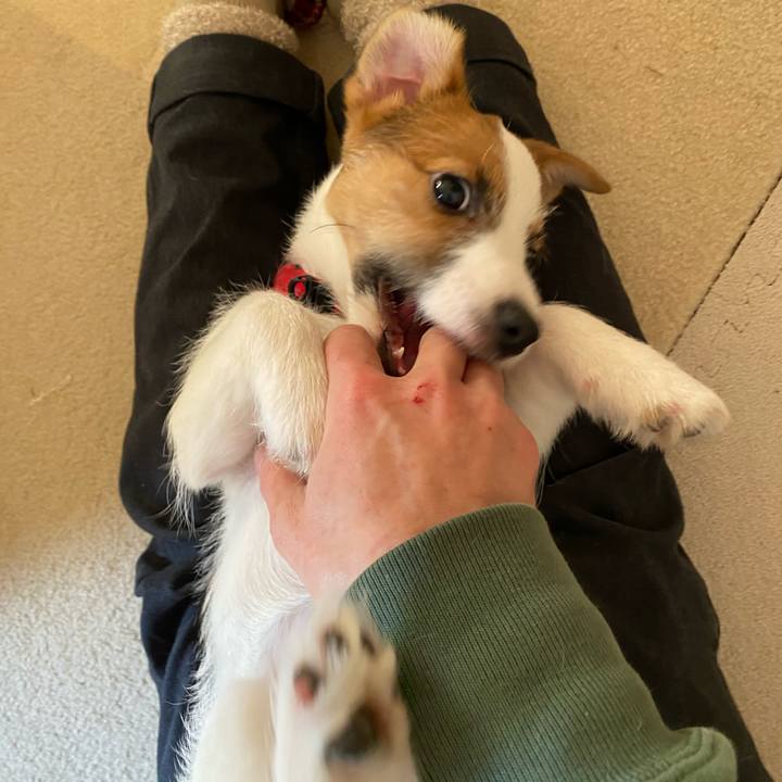 A1561151 6546 49b9 a078 951caeaa911f 1613016155897