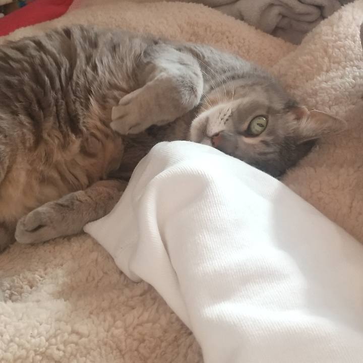 A15616fc 7a5d 4a41 b017 d05aebe568bb 1641690363155