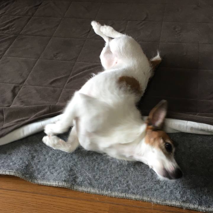 A15654f5 5e10 4336 a386 f9f7cd4d03d7 1595893107673