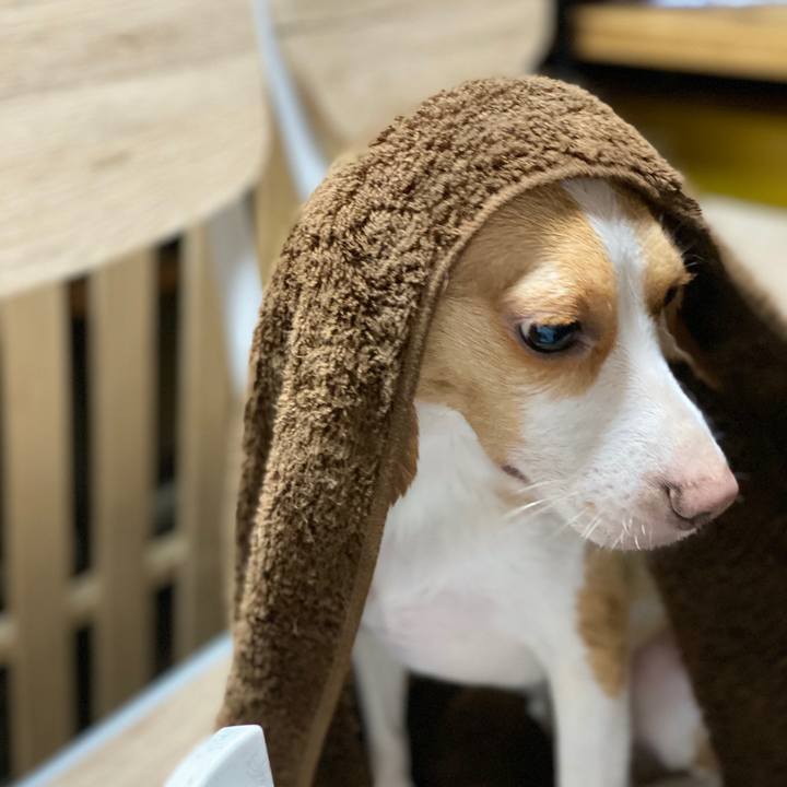 A156616a e319 4add be20 412b8739b457 1570847456817