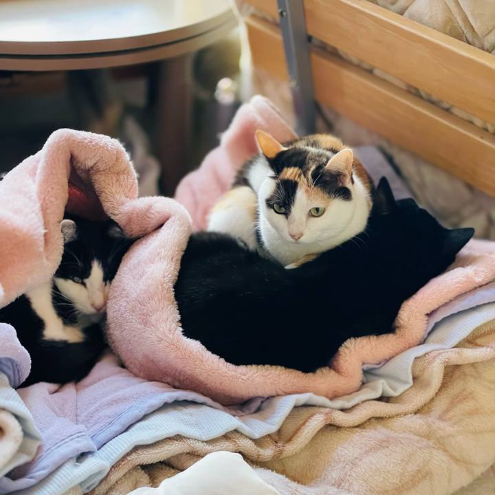 A156c81e 4915 41e5 a910 70e85b1ec970 1640834078481