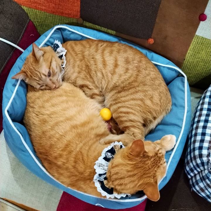 A156cb61 e79d 48c2 974f 9448bc1e2aca 1611840333108