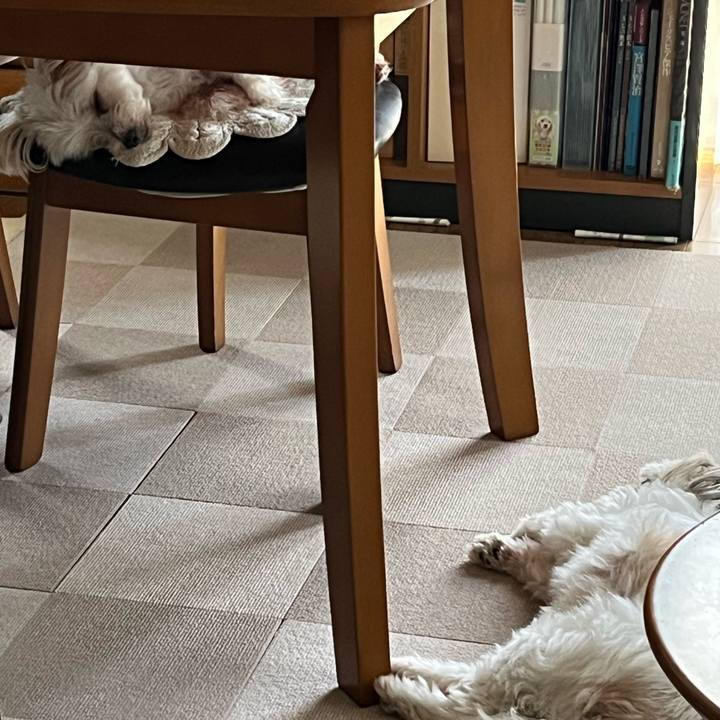 A1575083 eddc 4d5e 8a89 708597e97c5f 1691811476089