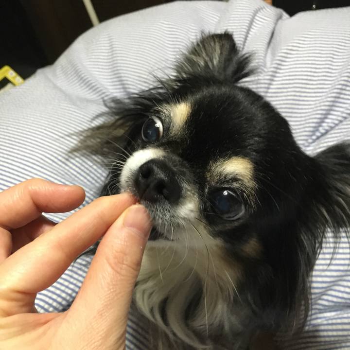 A1578e39 f111 41cb 96f7 7b259c86e9df 1509628792035