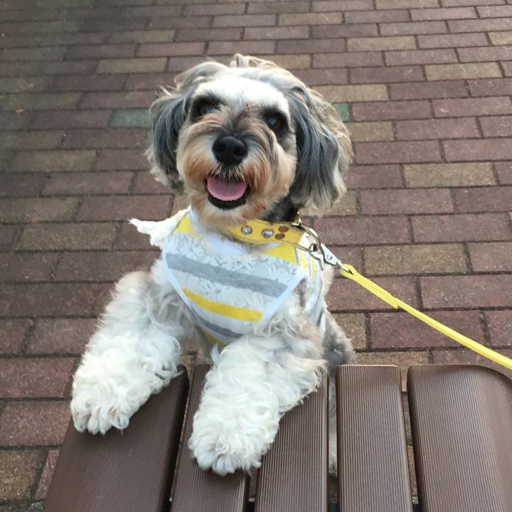 A1579f46 b5ac 4afc 9bf5 b412a587ac98 1569490892244