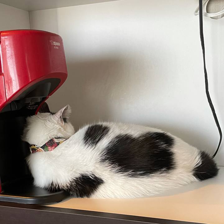 A157b550 42d0 462e b663 e5adcf342003 1633909666808