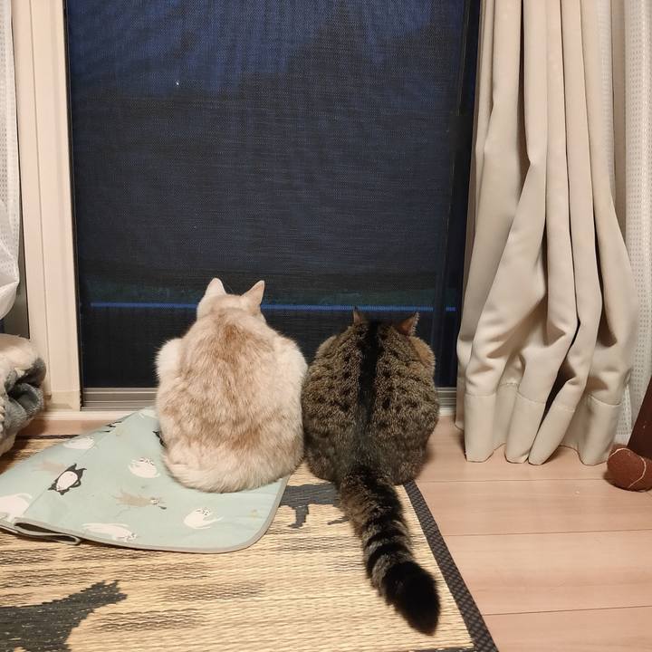 A157be52 dd62 454b 8e65 8186ebecddc3 1659606828284