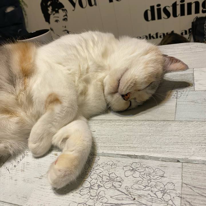 A157e136 779e 47ec bd3a 2092a670c182 1622057201809